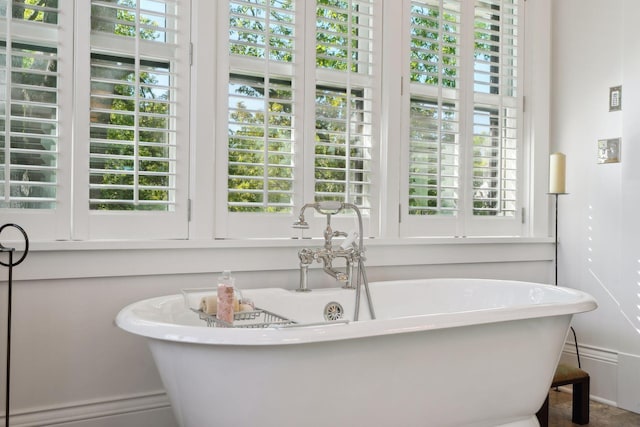 bathroom with a freestanding tub and a healthy amount of sunlight