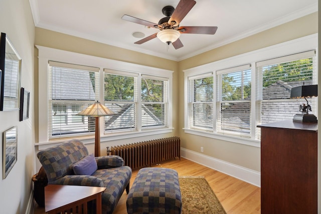 living area with light wood finished floors, radiator, ornamental molding, a ceiling fan, and baseboards