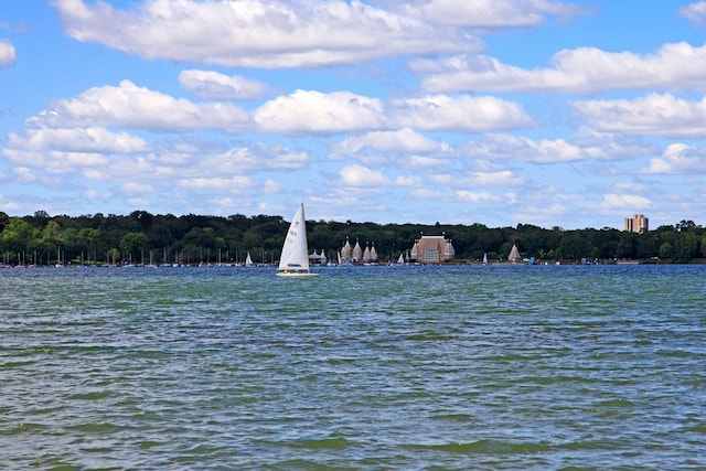 property view of water featuring a view of trees