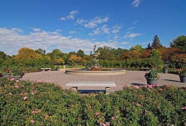 view of surrounding community