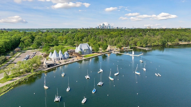 bird's eye view featuring a water view and a wooded view