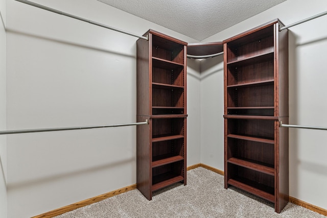 spacious closet with light colored carpet