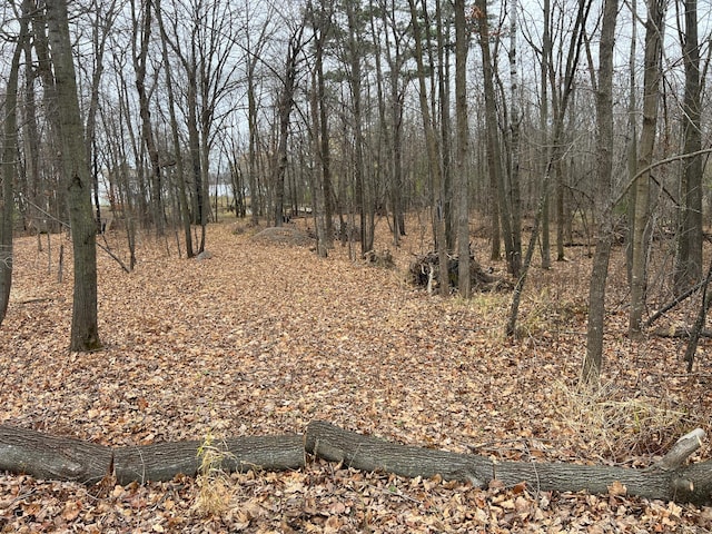 000 Maple Knoll Rd, Pokegama Twp, MN 55063 - photo 11