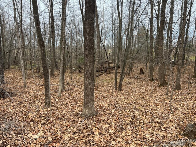 000 Maple Knoll Rd, Pokegama Twp, MN 55063 - photo 12