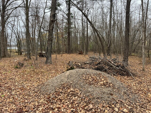 000 Maple Knoll Rd, Pokegama Twp, MN 55063 - photo 13