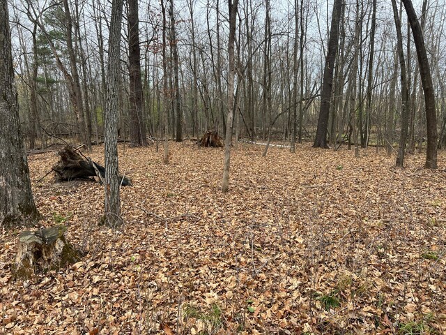 000 Maple Knoll Rd, Pokegama Twp, MN 55063 - photo 14