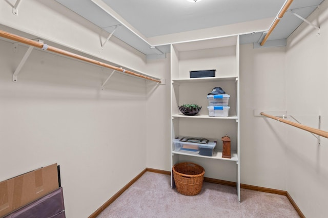 walk in closet featuring light carpet