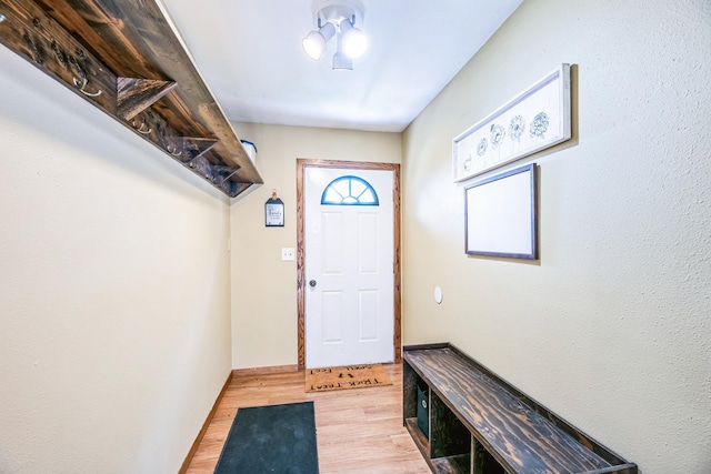 entryway with light wood finished floors