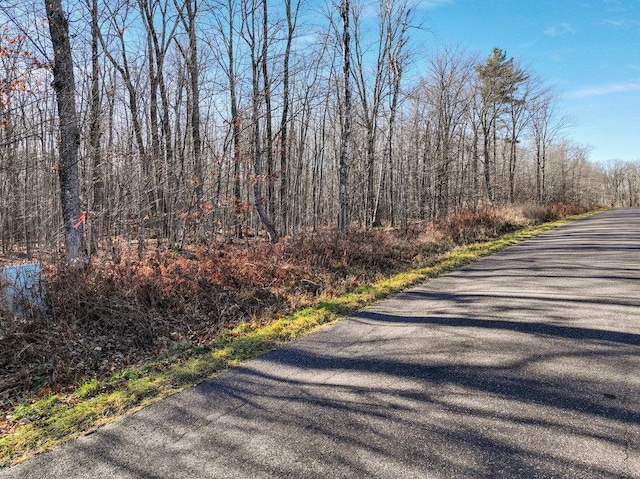 Listing photo 3 for LOT12 Peninsula Rd, Hayward WI 54843