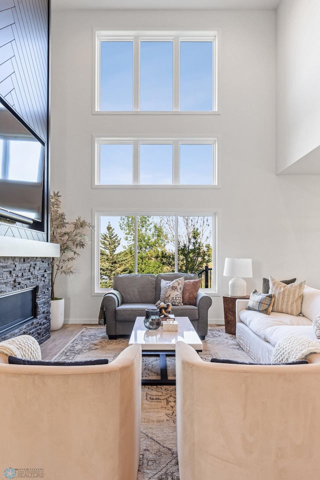 living room featuring a fireplace and wood-type flooring