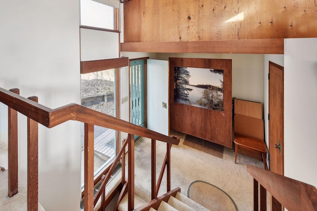 interior space featuring carpet flooring and a wealth of natural light