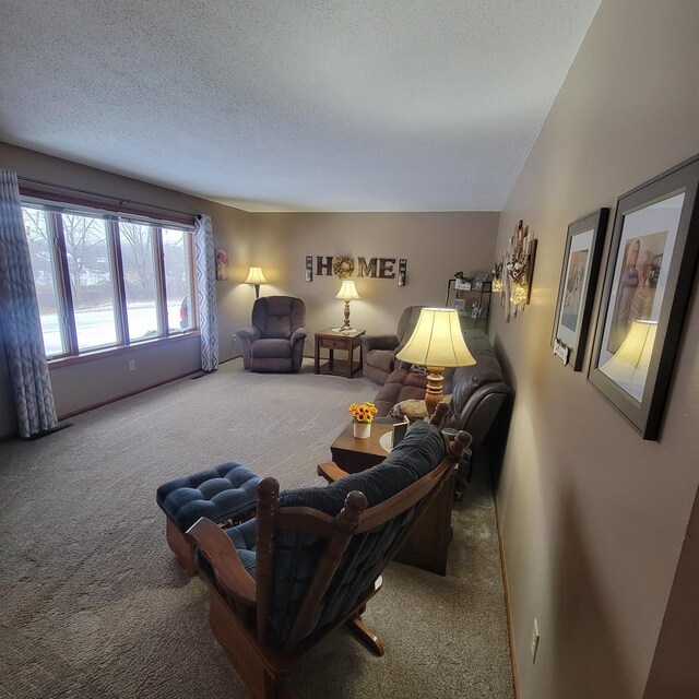 carpeted living area featuring a textured ceiling