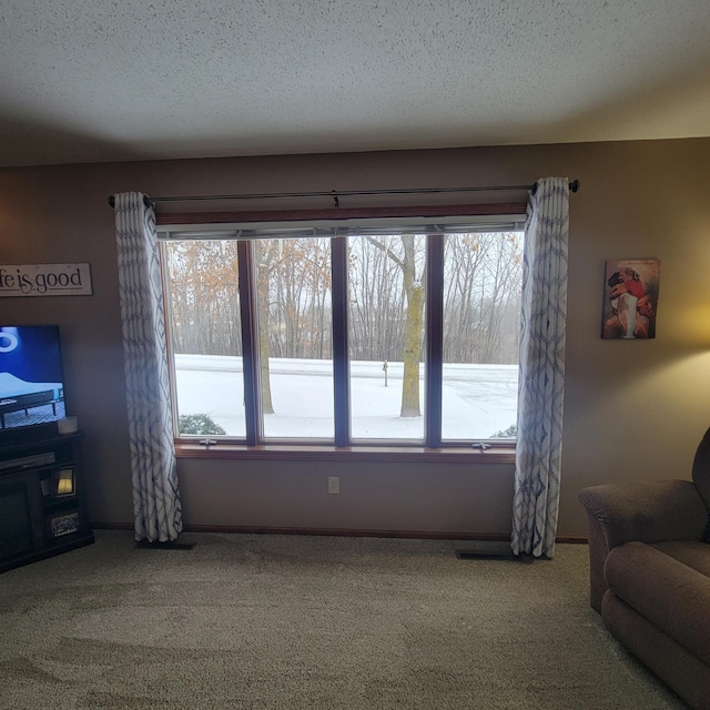 living area featuring a textured ceiling, a healthy amount of sunlight, and light colored carpet