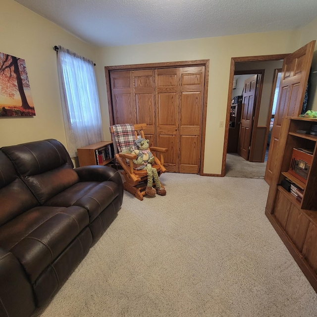 living room with a textured ceiling and light colored carpet