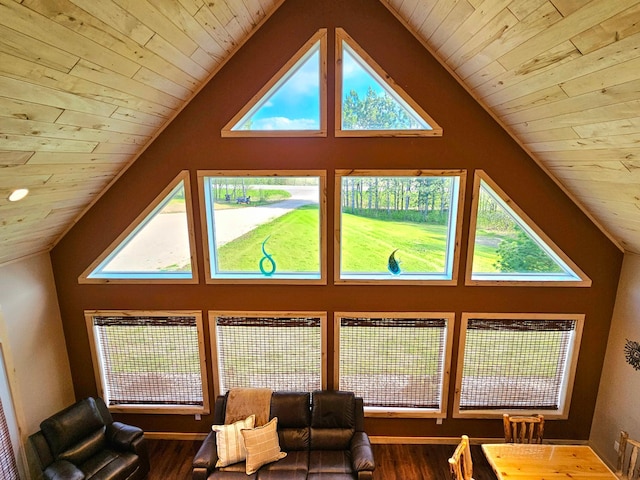 44811 County Highway 14, Perham, MN 56573 - living room with wood ceiling, high vaulted ceiling, and wood-type flooring