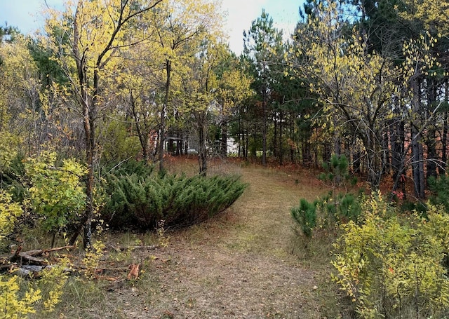 44811 County Highway 14, Perham, MN 56573 - view of yard