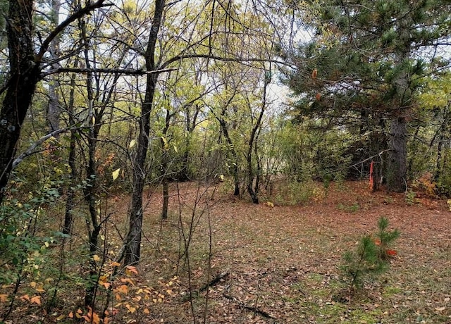 44811 County Highway 14, Perham, MN 56573 - view of nature