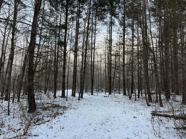 view of snowy view