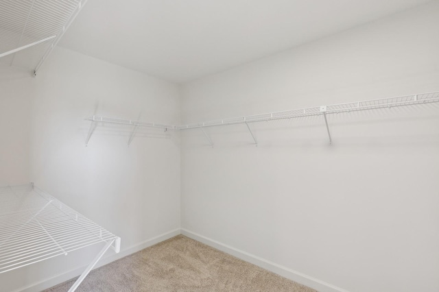 spacious closet with carpet floors