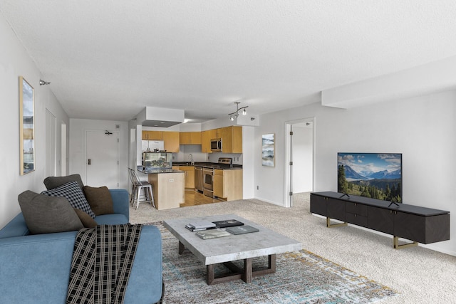 carpeted living room featuring a textured ceiling and sink