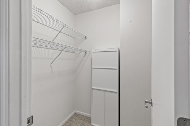 walk in closet with carpet