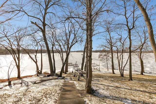 water view featuring a boat dock