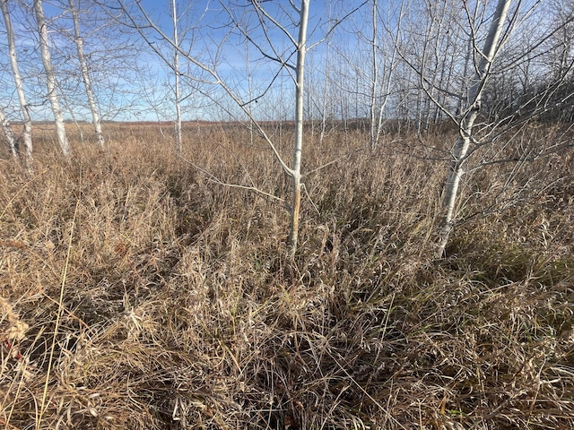 TBD 150th St NW, Bray Twp, MN 56701 - photo 7