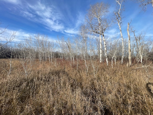 TBD 150th St NW, Bray Twp, MN 56701 - photo 22