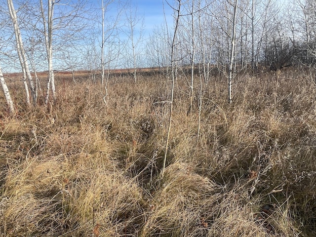 TBD 150th St NW, Bray Twp, MN 56701 - photo 24