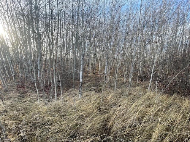 TBD 150th St NW, Bray Twp, MN 56701 - photo 27