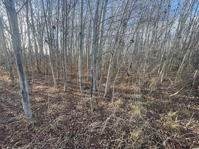 TBD 150th St NW, Bray Twp, MN 56701 - photo 28