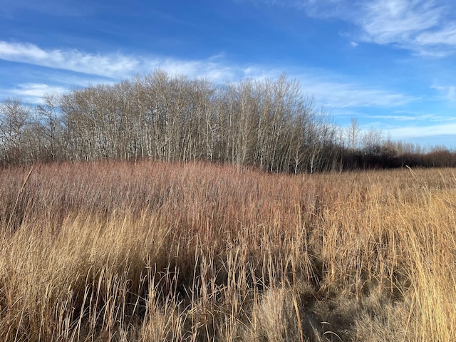 TBD 150th St NW, Bray Twp, MN 56701 - photo 29
