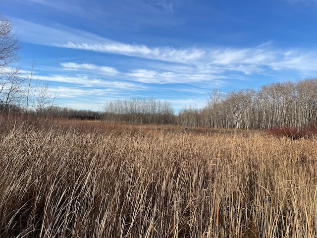 TBD 150th St NW, Bray Twp, MN 56701 - photo 31