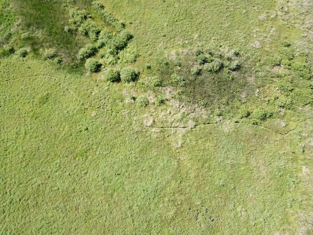 TBD 150th St NW, Bray Twp, MN 56701 - photo 57