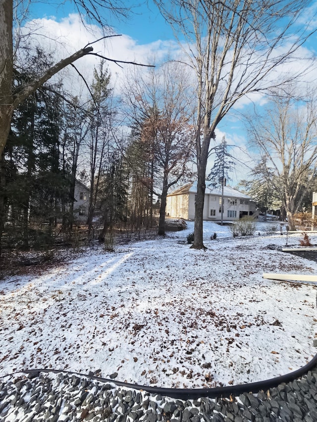 view of yard covered in snow