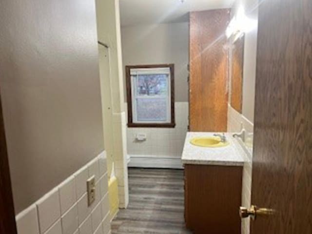 bathroom with wood-type flooring and vanity