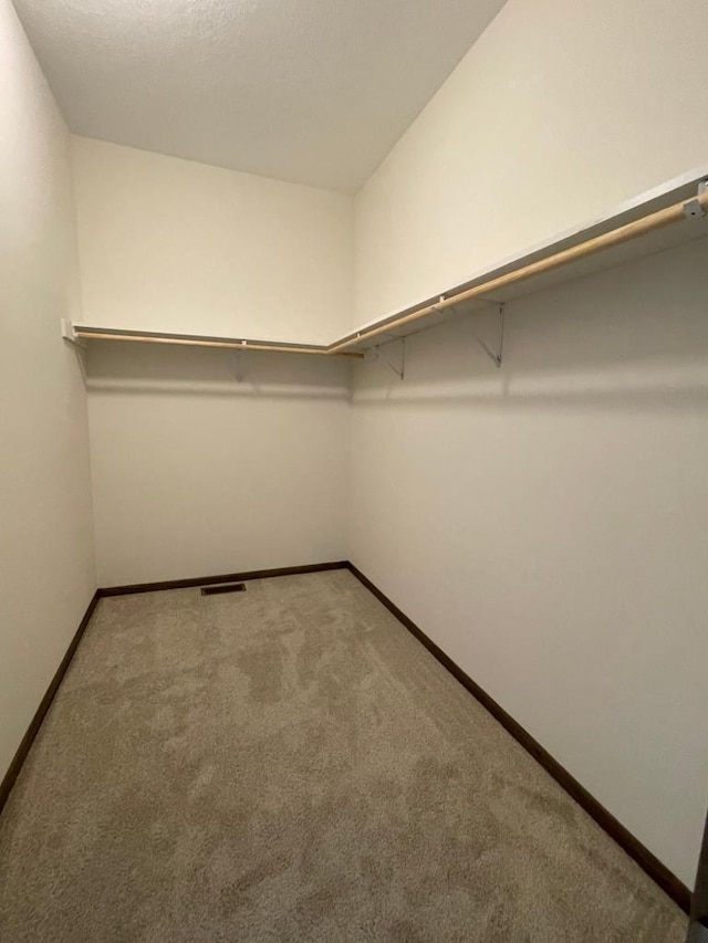 spacious closet with carpet