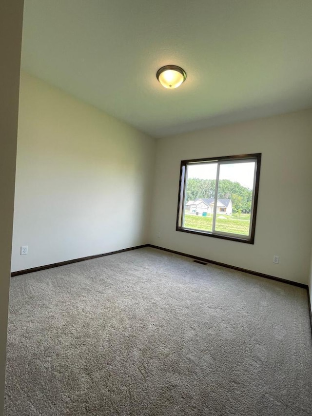 spare room featuring carpet floors