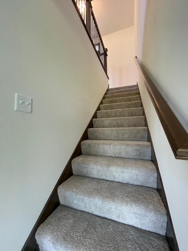 staircase featuring carpet flooring