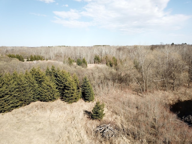 61684 260th St, Hewitt, MN 56453 - view of landscape
