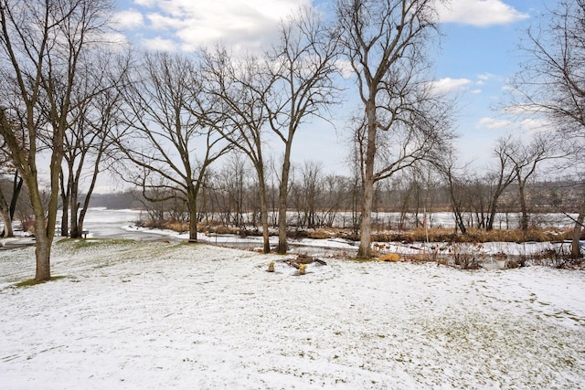 view of snowy yard