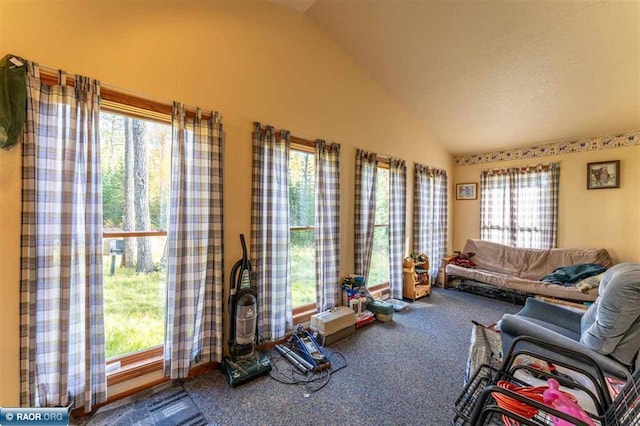 exercise room with lofted ceiling, carpet floors, and a wealth of natural light