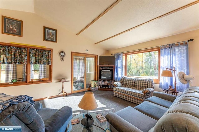 carpeted living room with lofted ceiling