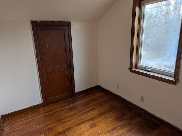 interior space with dark wood-type flooring and lofted ceiling