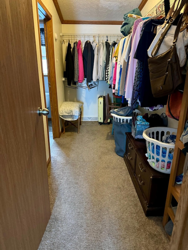 spacious closet with light colored carpet