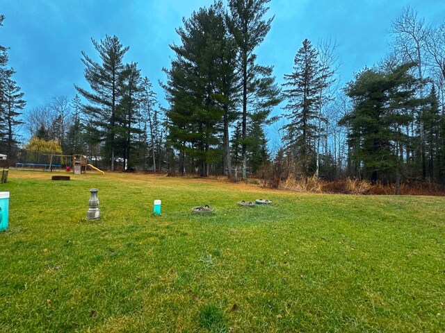 view of yard featuring a playground and a trampoline