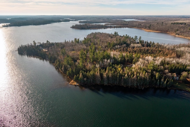 4690 Evergreen Dr NW, Hackensack, MN 56452 - bird's eye view of a nearby body of water and a heavily wooded area