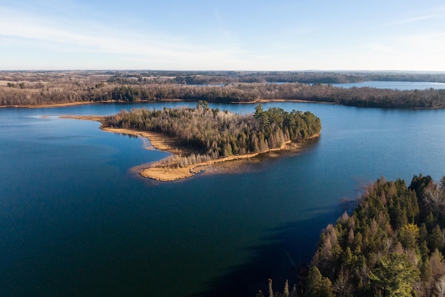 4690 Evergreen Dr NW, Hackensack, MN 56452 - bird's eye view of a large body of water and a forest