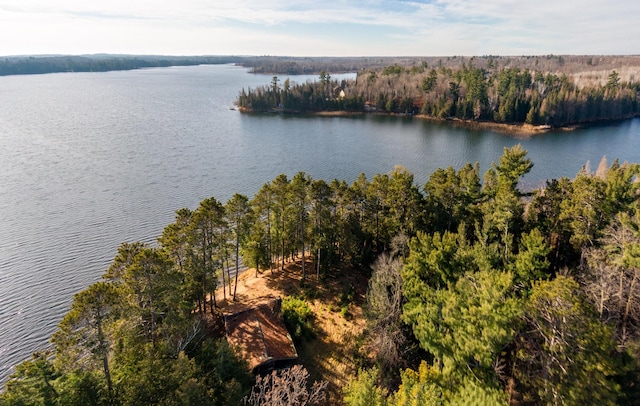 4690 Evergreen Dr NW, Hackensack, MN 56452 - water view