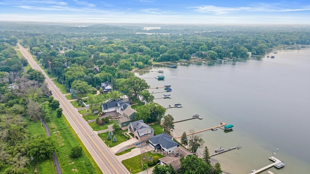 804 County Road I W, Shoreview, MN 55126 - bird's eye view of a nearby body of water